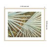 Amanti Art Suave Fronds by Suzanne Wilkins Wood Framed Wall Art Print - 4 of 4