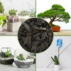 Soil Sunrise Horticultural Charcoal for Indoor Plants, Hardwood Soil Additive for Orchids, Terrariums, and Gardening - 3 of 4