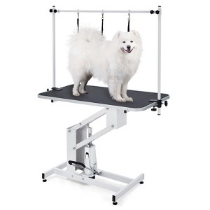 Hydraulic Dog Grooming Table, Heavy Duty 350Lbs Capacity Professional Pet Grooming Table - 1 of 4