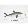 CWG | Shark, Great White, Museum Quality Rubber Model, Toy, Figure    6"      CWG143 BB28 - 2 of 4