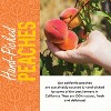 Herbaila Dried Peaches No Sugar Added, Extra Fancy California Grown, All Natural, Non-GMO, Dehydrated Peaches, Unsweetened Fruit, 1lb - 4 of 4