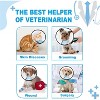 For 44-57lbs Dog Cone Collar Adjustable After Surgery, Comfortable Pet Recovery Collar & Cone, Elizabethan Dog Neck Collar - 2 of 4