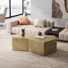 NicBex 2-Piece Stylish Round/Irregular Coffee Table Set,Minimalist Side Table Set,Center Table for Living Room - 2 of 4