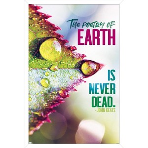 Trends International Tara Robinson - Keats Framed Wall Poster Prints - 1 of 4