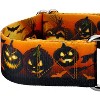 Country Brook Petz 1 1/2 Martingale Dog Collar - Halloween Collection - 4 of 4