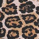 Gold Leopard Print
