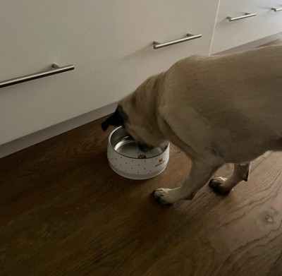 Guest review image 2 of 2, zoom in