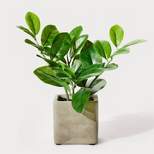 9" Small Artificial ZZ Plant - Hilton Carter for Target