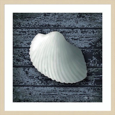 Seashore Shells Navy I Coastal Framed Wall Art Print