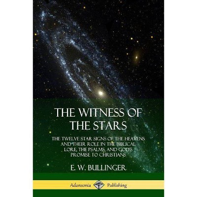 The Witness of the Stars - by  E W Bullinger (Paperback)