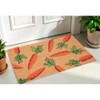 HomeRoots 17" X 29" Natural And Orange Easter Carrots Coir Outdoor  Door Mat - 2 of 4