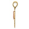 Black Bow Jewelry 14k Two Tone Gold Sweet 15 Our Lady of Guadalupe Pendant, 10 x 23mm - 2 of 4