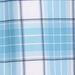 blue plaid
