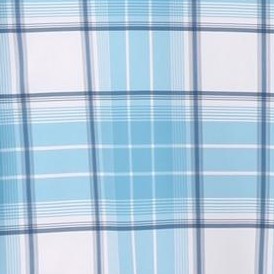 blue plaid