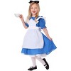 HalloweenCostumes.com Deluxe Toddler Alice Costume - 3 of 4