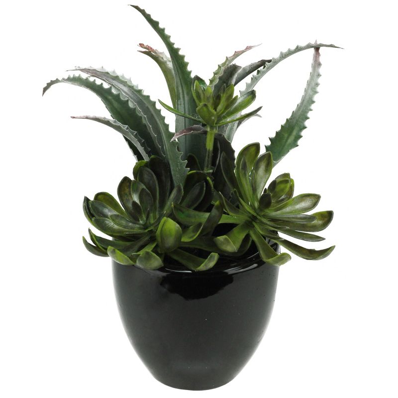Northlight 11" Mixed Succulent Plant Artificial Potted Arrangement - Green/Black, 1 of 4