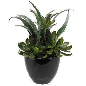 Northlight 11" Mixed Succulent Plant Artificial Potted Arrangement - Green/Black