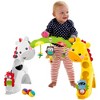 Fisher-Price Baby Newborn-To-Toddler Play Gym With Music and Lights - 4 of 4