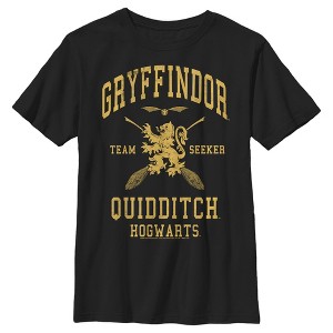 Boy's Harry Potter Gryffindor Quidditch Gold Team Seeker T-Shirt - 1 of 4