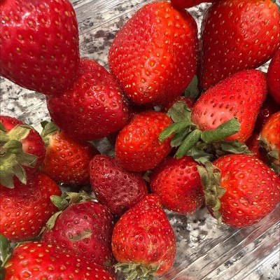 Guest review image 1 of 1, zoom in