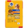 Pedigree Roasted Chicken, Rice & Vegetable Flavor Adult Complete Nutrition Dry Dog Food - image 2 of 4
