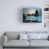Trademark Fine Art -Moises Levy 'Rodeo Beach I' Canvas Art - 2 of 4