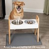 Leashboss Elevated Slow Feed Bowl - Gray - 2 Cup - 2 of 4
