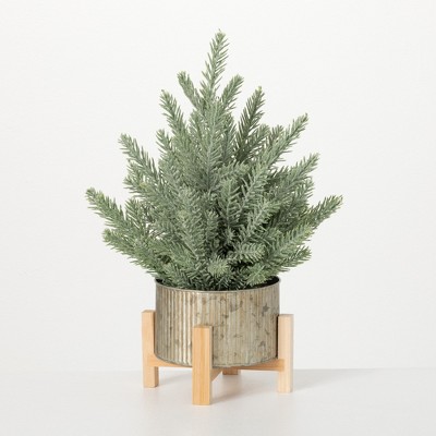 Porch Pot Trees