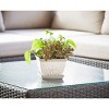 Southern Patio 8" Brentwood Planter in White Finish (2 Pack) - Southern Patio - 2 of 4