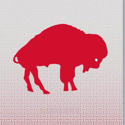 buffalo bills