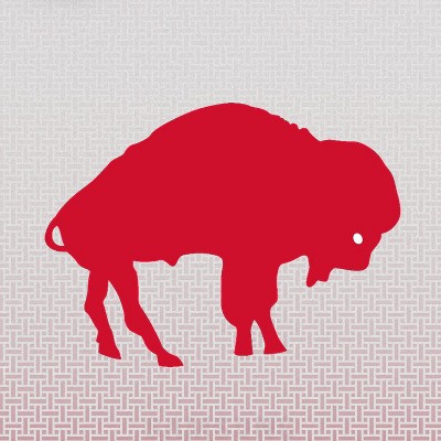 buffalo bills
