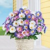 Collections Etc Grecian Windflower Bush Bundles - Set of 3 10 X 10 X 19 - 2 of 2