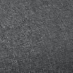 fossil gray