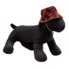 The Worthy Dog Buffalo Bucket Hat - 2 of 3