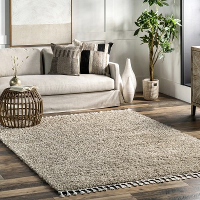 Cozy Beige Braided Tassel Shag Area Rug - Easy Care 3'x5'