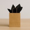 Beistle Black Tissue Paper Sheets, 20" x 20", Pack of 96 Sheets - 4 of 4