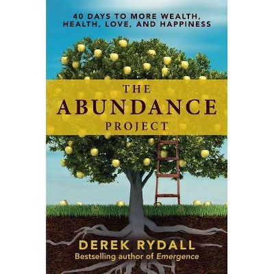  The Abundance Project - by  Derek Rydall (Hardcover) 