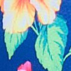 botanical