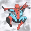 Marvel Spider-Man Fleece Pullover Hoodie Little Kid to Big Kid - 3 of 4