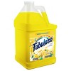 Fabuloso All Purpose Cleaner - Lemon - image 2 of 3