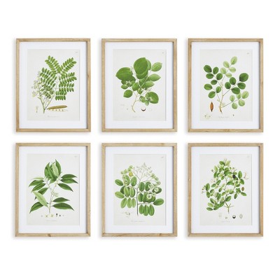 Plum & Post Tree Leaf Study, Set Of 6