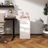 Dexmalle 2 Drawer Metal Vertical File Office Cabinet With Lock - 2 of 4