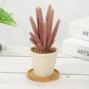 Unique Bargains Bamboo Wood Saucer, Round Plant Tray Bonsai Succulent Pot - 4 of 4
