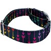Country Brook Petz® 2 Inch Martingale Dog Collar - 3 of 4