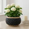 Textured Flower Pots and Planters for Home Decor -Indoor and Outdoor Display - Unique Design That Enhances House, Garden, and Patio - 7" Black & Brown - 2 of 4