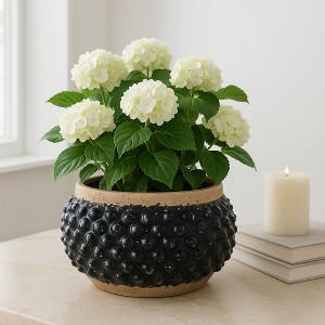 Terracotta Textured Round Bubble Planter Pot for Indoor and Outdoor Display - Unique Design for House, Garden, and Patio Decor - 7" Black & Brown - 1 of 4