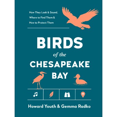 Birds of the Chesapeake Bay - (Best Little Book of Birds) by  Howard Youth & Gemma Radko (Paperback)