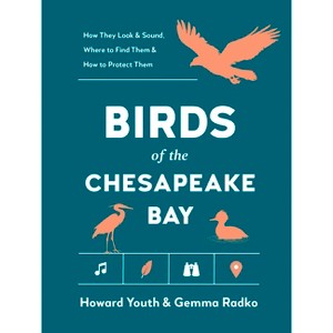 Birds of the Chesapeake Bay - (Best Little Book of Birds) by  Howard Youth & Gemma Radko (Paperback) - 1 of 1