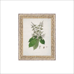 Petal Lane 8"x10" Combretum Roxburghil Fancy Framed Wall Art Gold - 1 of 4