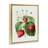 Stupell Industries Vintage Strawberries Study, 21" x 17" - 3 of 4